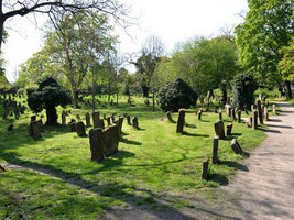 Grabsteine auf einem jüdischem Friedhof