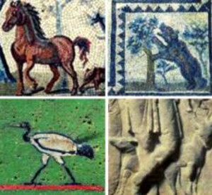 Anordnung von Memorykarten mit römischen Tierabbildungen