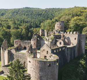 Schloss- und Festungsruine Hardenburg Luftaufnahme Hardenburg