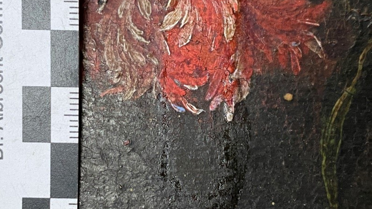 Erste Reinigungsproben an den Gemälden verdeutlichen, dass sich unter dem stark verbräunten und verschmutzten Firnisüberzug eine strahlend bunte barocke Malerei erhalten hat © Claudia-Gerner Beuerle, GDKE, Landesdenkmalpflege