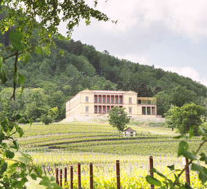 Schloss Villa Ludwigshöhe umgeben von Weinreben