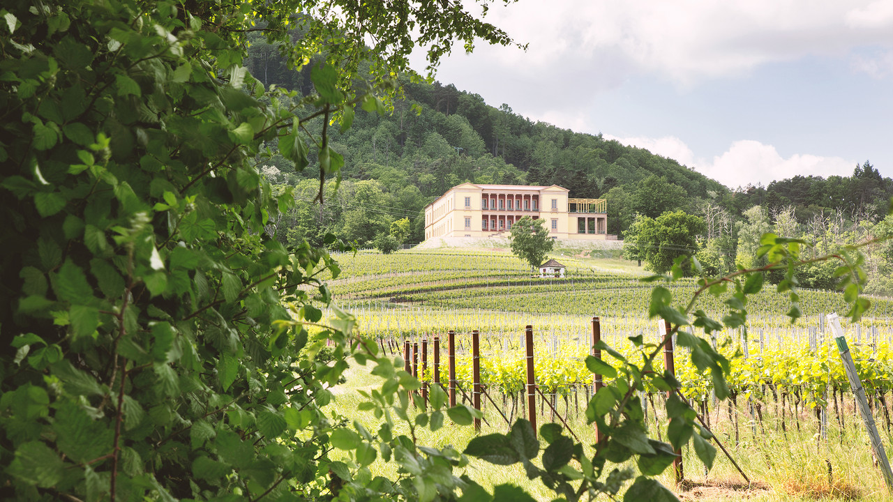 Schloss Villa Ludwigshöhe umgeben von Weinreben