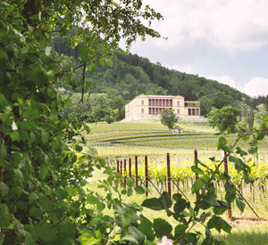 Schloss Villa Ludwigshöhe umgeben von Weinreben