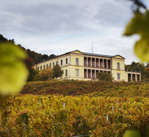 Schloss Villa Ludwigshöhe vor der Sanierung. Foto: GDKE / U. Pfeuffer