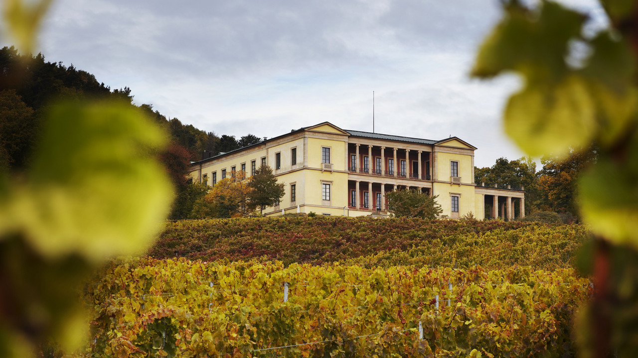 Schloss Villa Ludwigshöhe vor der Sanierung. Foto: GDKE / U. Pfeuffer