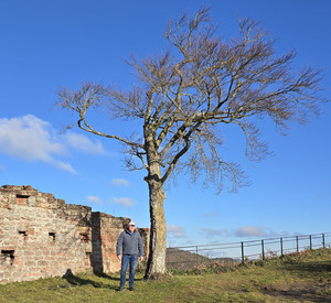 Burgführer auf der Burgruine Lindelbrunn