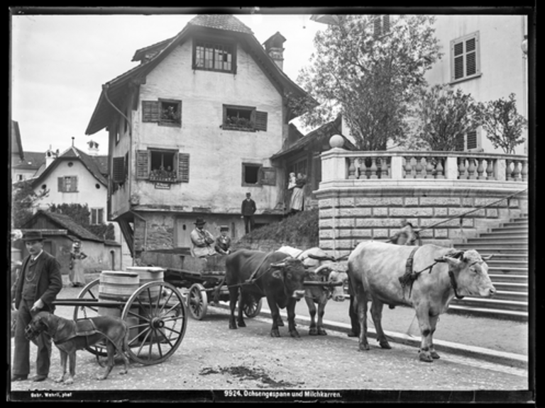 Arbeitende Tiere vom 18 bis ins 20. Jahrhundert: