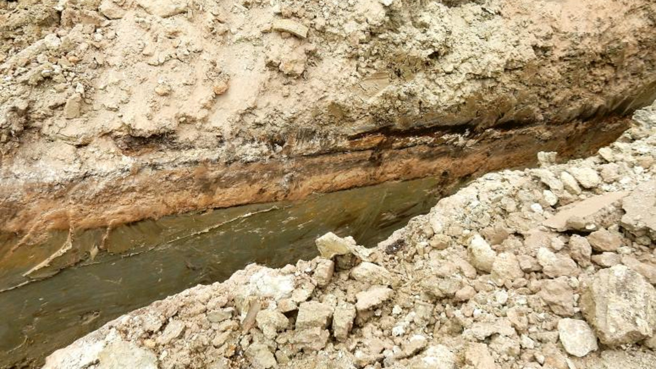 Seesedimente (braun) mit mehreren Braunkohlelagen zwischen grauen Tonen in einem Drainagegraben  © GDKE, LA/Erdgeschichte
