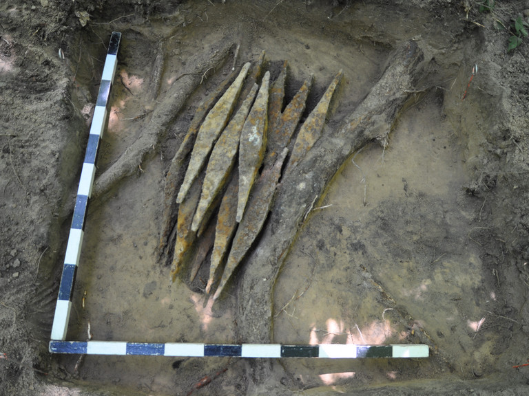 Eröffnung: Schaufenster der GDKE