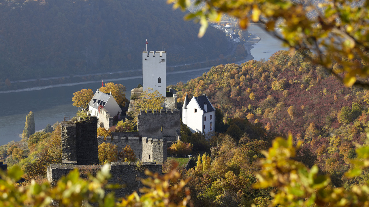 Burg Sterrenberg im Herbst