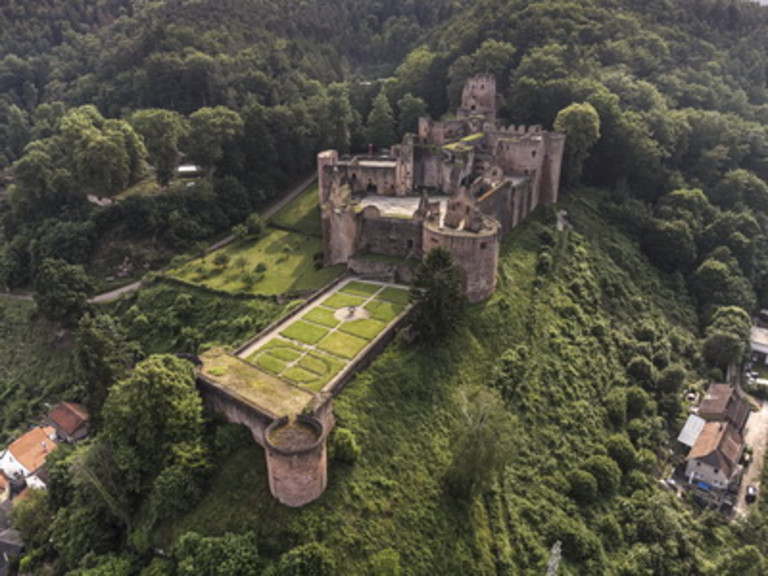 ABGESAGT - Von mutigen Rittern und stolzen Raubvögeln – Eine abendliche Erkundung der Schloss- und Festungsruine Hardenburg ABGESAGT - Von mutigen Rittern und stolzen Raubvögeln – Eine abendliche Erkundung der Schloss- und Festungsruine Hardenburg