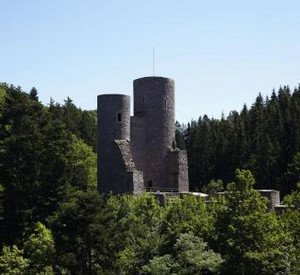Burg mit zwei Türmen umgeben von Bäumen
