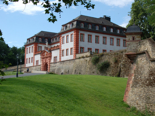 Ansicht auf die Zitadelle in Mainz mit Wiese und Mauer 