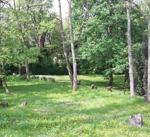 Teilbereich des jüdischen Denkmalfriedhofs in Mainz © Victoria Aschnin, Laura Raddatz und Friedemann Richter
