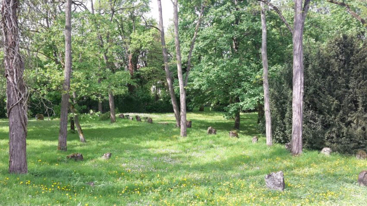 Teilbereich des jüdischen Denkmalfriedhofs in Mainz © Victoria Aschnin, Laura Raddatz und Friedemann Richter