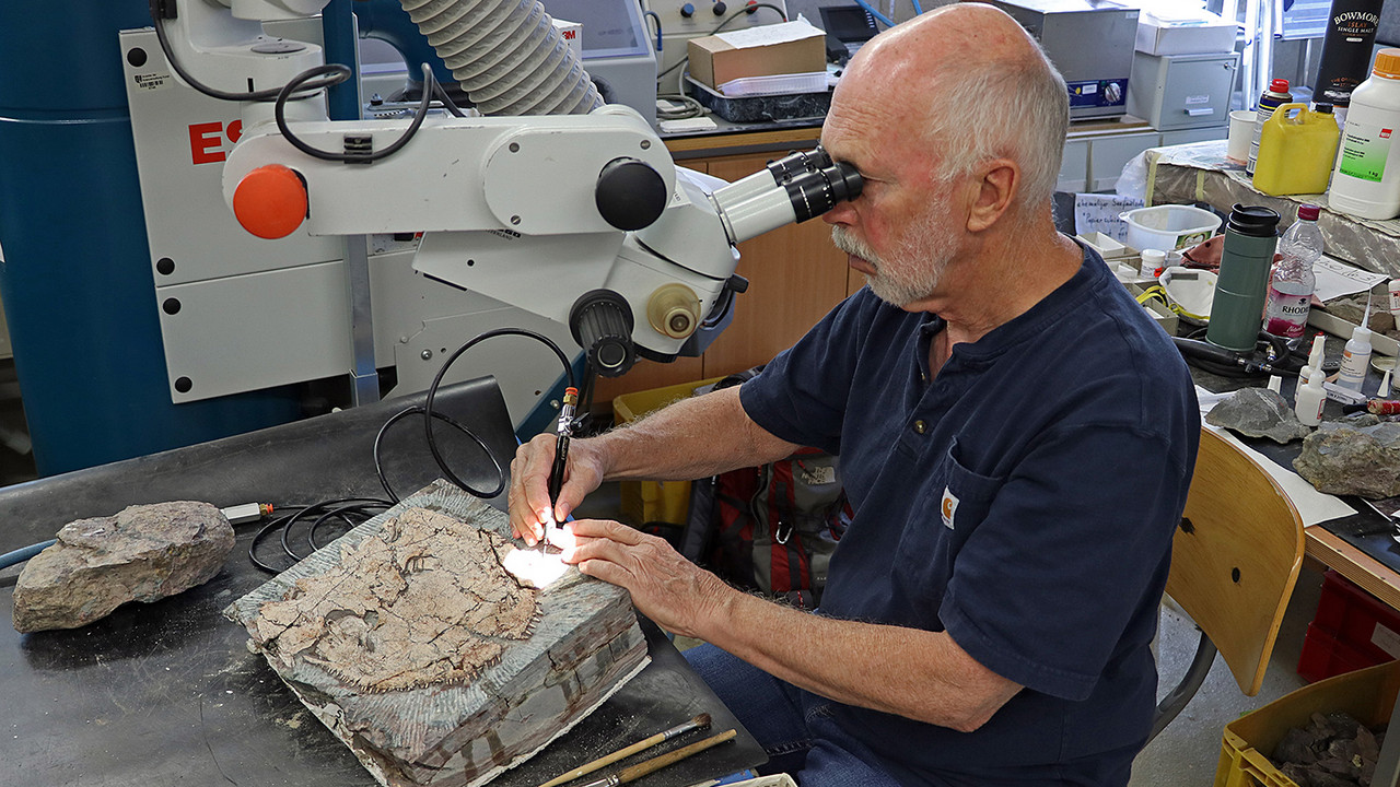Präparation des 2018 entdeckten Schädels durch den geowissenschaftlichen Präparator Larry Rinehart aus Albuquerque/New Mexico im GEOSKOP. Quelle: Urweltmuseum GEOSKOP, Thallichtenberg