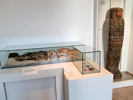 Eine Mumie und ein Mumiensarg in Vitrinen