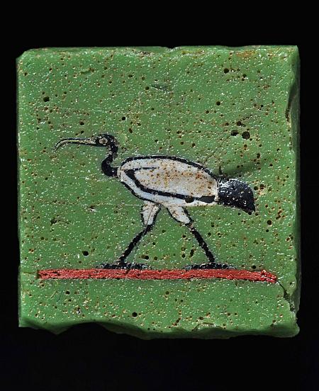 Kleines, grünes Quadrat, auf dem ein schwarz-weißer Vogel mit langen Beinen zu sehen ist