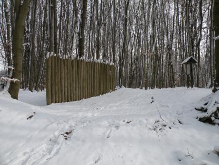 Zaun aus Holzpfeilern in einem Wald im Winter