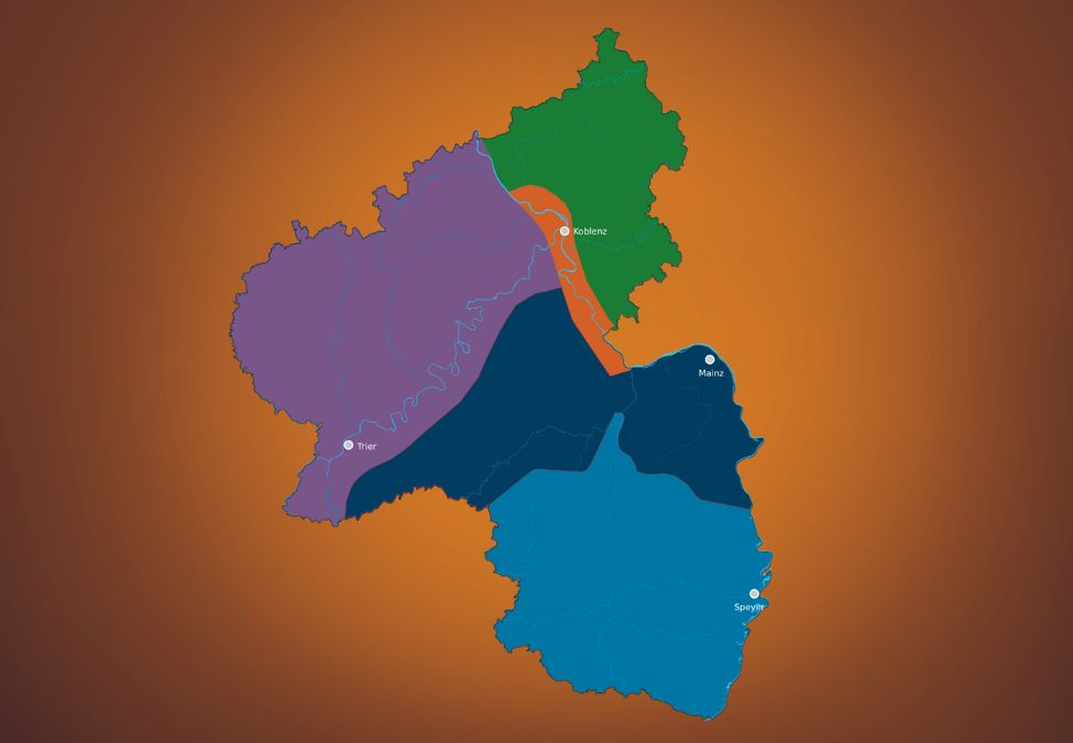 Ansicht Rheinland-Pfalz Karte unterteilt in 5 farbige Regionen